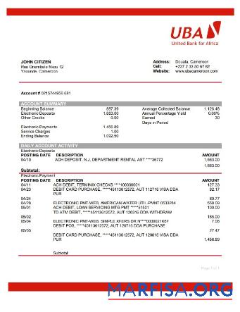 Blank Cameroon UBA bank statement word sample